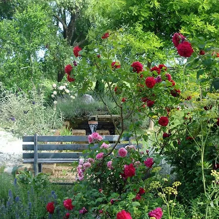 Ca' Ninota بيت للعطل *